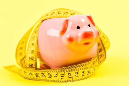 Measure costs. Credit loan debt. Piggy bank and measuring tape. Budget limit concept. Economics and finances. Pig trap. Budget crisis. Planning budget. Business problem. Limited or restricted