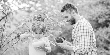 Healthy breakfast. Father son eat food. Little boy and dad eat. Nutrition kids and adults. Tasty porridge. Organic nutrition. Healthy nutrition concept. Nutrition habits. Family enjoy homemade mealの写真素材