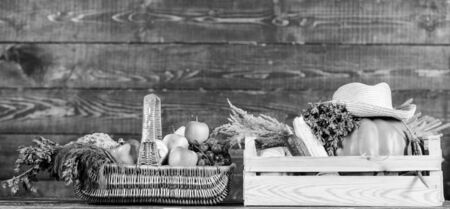 Just from garden. Delivery service fresh vegetables from farm. Buy fresh homegrown vegetables. Excellent quality vegetables. Box or basket harvest vegetables wooden background. Grocery shop concept.の写真素材