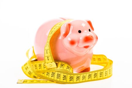 Limited or restricted. Credit loan debt. Measure costs. Piggy bank and measuring tape. Budget limit concept. Economics and finances. Pig trap. Budget crisis. Planning budget. Business problem.の写真素材