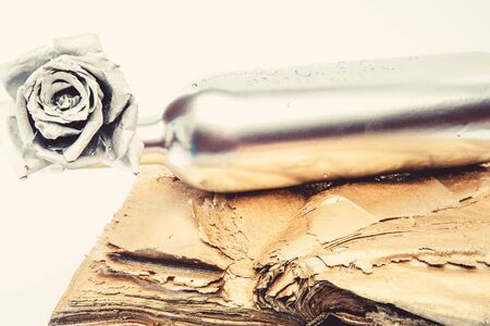 greeting cards design. silver rose flower in bottle. luxury and success. metallized antique decor. wealth and richness. floristics business. Vintage retro. grunge beauty isolated on white.の写真素材