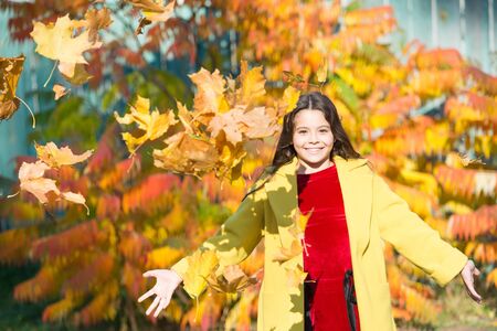happy little child outdoor. girl with maple leaf. walking in park. trendy girl in autumn coat....