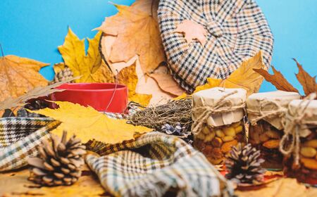 Set three honey natural sweets in jars and mug of tea background covered fallen leaves. Autumnal beverage with homemade natural sweets. Natural homemade treats autumn season keep healthy.の写真素材