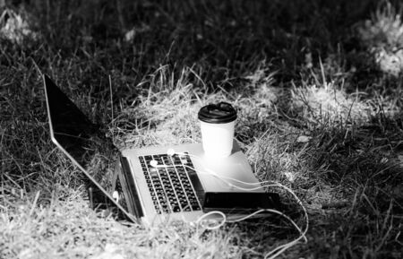 notebook with headset of mobile phone and coffee to go on green grass. working place outdoor. Free music. agile business. Online study. summer vibes. Relax. university students life. Online shopping.の写真素材