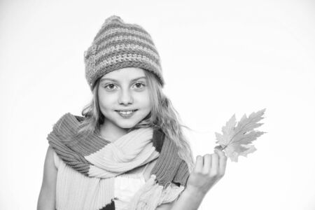 Autumn leisure idea. Girl with maple leaf think about leisure. Autumn to do list. Autumn bucket list for children. Girl cute face wear knitted autumn hat and scarf hold leaves white backgroundの写真素材
