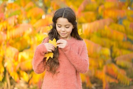 Natural beauty. Small girl wear autumn leaves in natural hair. Little child on natural landscape. Idyllic autumn nature. Natural cosmeticsの写真素材