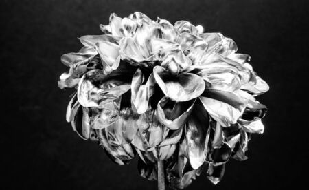 Flower covered metallic paint close up.の写真素材