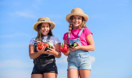 Respecting ecology. kids on summer farm. Organic food. harvest vitamin. spring market garden. small girls vegetable. Only natural. children farming. autumn harvest. healthy food is happy lifeの写真素材
