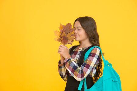 As beautiful as autumn. Little schoolchild hold fall leaves. Small girl enjoy autumn foliage....