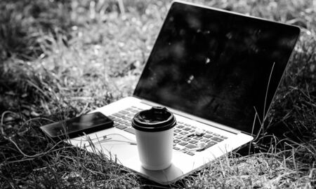 summer vibes. Relax. agile business. Online study. university students life. Online shopping. working place outdoor. Free music. computer with headset of mobile phone and coffee to go on green grassの写真素材