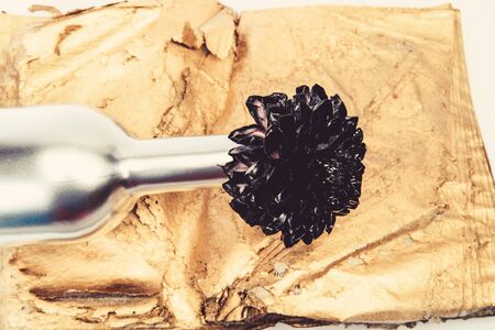 floristics business. Vintage retro. wealth and richness. grunge beauty. luxury and success. metallized antique decor. black chrysanthemum flower in silver bottle. wedding cards decoration.の写真素材