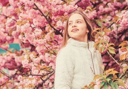 Kid pink flowers of sakura tree garden. Kid enjoying pink cherry blossom. Tender bloom. Bright and...