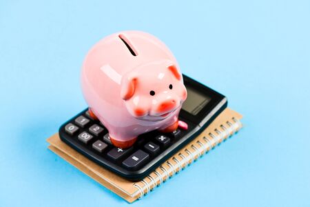 Accounting business. Piggy bank symbol of money savings. Accounting software. Finances and investments. Piggy bank pink pig and calculator. Accounting and family budget. Services for accountingの写真素材