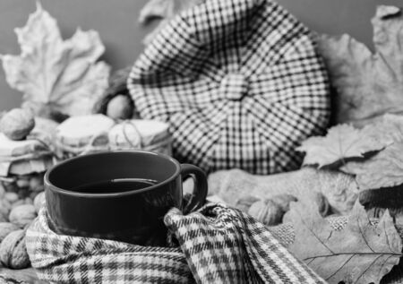 Fall bucket list concept. Mug cozy aromatic tea beverage in scarf and treats. Enjoy cozy autumnal atmosphere. Mug of tea surrounded by scarf red background with fallen maple leaves and walnuts.の写真素材