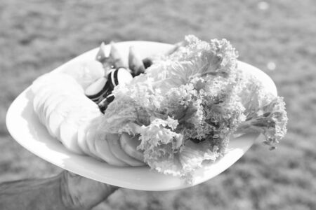 Much more than salad. Plate with healthy food. Vegetarian food. Healthy leafy greens. Organic vegetables. Natural food rich of vitamin. Good food to eat.の写真素材