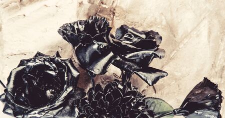 Able Painting. floristics business. Vintage. luxury and success. metallized antique decoration. wealth and richness. natural beauty. silver rose flower.の写真素材