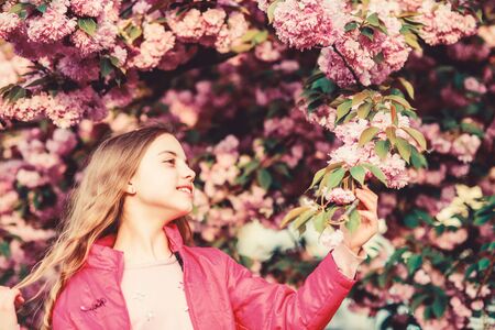 Park and garden. Girl little child in spring flower bloom. Enjoy smell of tender bloom sunny day. Sakura flower concept. Gorgeous flower beauty. Girl cherry flower background. Happy spring vacationの写真素材