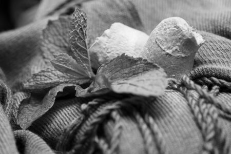 Fragrant ingredients and spicy cuisine concept. Mint leaves and ginger root lying on brown cloth. Herbs and spices on soft brown scarf background.の写真素材