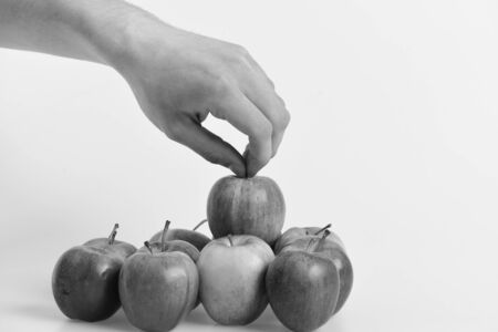 Male hand holds light red apple above other fruits. Apples on light grey background. Group of apples in bright and juicy color. Vitamins and fitness concept.の写真素材