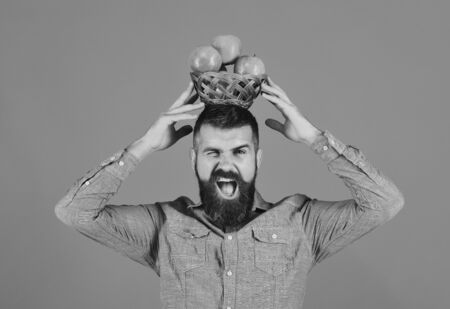 Man with beard holds wicker bowl with fruit isolated on blue background. Farming and autumn crops concept. Guy presents homegrown harvest.の写真素材