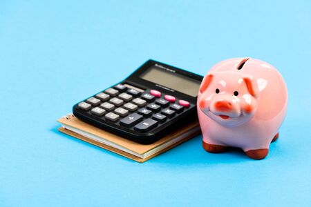 Piggy bank pink pig and calculator. Business administration. Finance manager wanted. Trading exchange. Trade market. Finance department. Credit debt concept. Economics and finance. Calculate profit.の写真素材