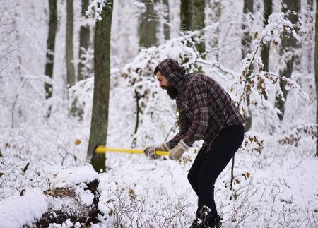 Masculinity concept. Man with warm gloves puts axe into treeの写真素材