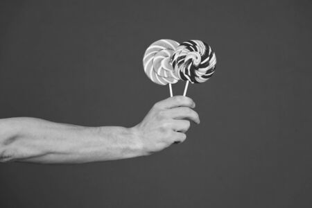 Candies on stick on violet background. Lollipops in hand on purple background. Sweet candy swirls. Food or snack and dessert eating. Sweet shop concept, copy space. punchy pastels.の写真素材