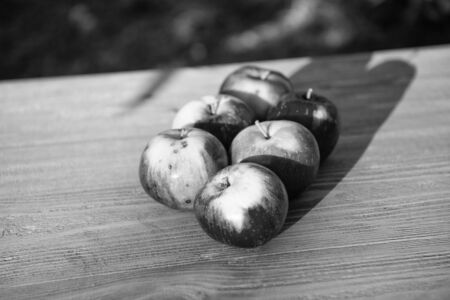 Picnic concept. Apples red ripe fruits. Healthy nutrition concept. Fruit and vitamin. Red apples gathered as harvest. Fall apples harvest. Apple harvest concept. Ripe organic fruits backdrop.の写真素材