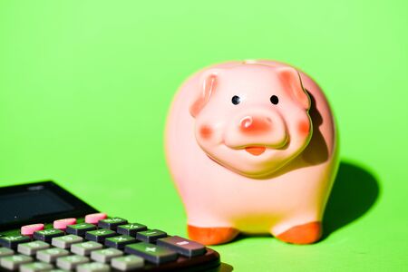Controlling capital. money saving. Accounting and payroll. income capital management. bookkeeping or...