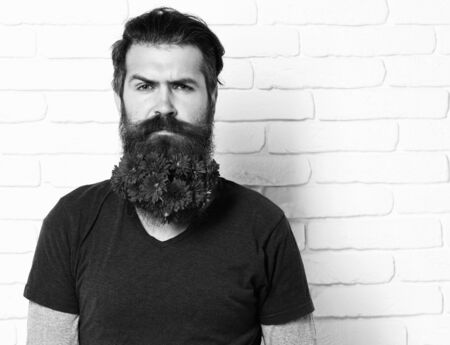 hipster with flowers in beard on white brick wall background, copy spaceの写真素材