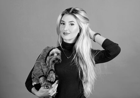 Woman carry yorkshire terrier. Girl attractive blonde hug cute dog. Apparel and accessories. Pet supplies. Dressing your dog for cold weather. Dogs need clothes. Which dog breeds should wear coatsの写真素材