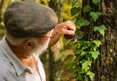 Old man look at leaves with magnifying glass. Elderly man examine tree leaves with magnifying glass. Save trees, save nature. Environment day. Nature study. Senior person do forest research.の写真素材