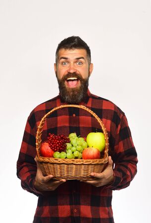 Guy holds homegrown harvest. Man with beard holds fruit basketの写真素材