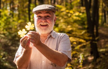 Autumn brings much joy. Happy pensioner collect autumn leaves in wood. Aged person happy smiling on autumnal landscape. Happy fall season. Happy retirementの写真素材