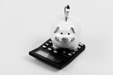 Analyzing sales pitch. annual income. saving money. First salary. bookkeeping. financial report. family budget management. business startup. Working with numbers. piggy bank with calculator. Moneybox.の写真素材
