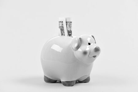 Money budget planning. Financial wellbeing. Economics and finance. Piggy bank pink pig stuffed dollar banknote cash. Save money. Banking account. Earn money salary. Credit concept. Money saving.の写真素材