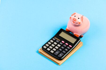 Finance manager wanted. Trading exchange. Trade market. Finance department. Credit debt concept. Economics and finance. Calculate profit. Piggy bank pink pig and calculator. Business administration.の写真素材