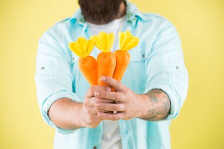 Do you want carrots. Bunch of carrots in male hands. Organic carrots. Healthy eating. Vitamin food. Easter time. Spring season. Eat carrots every day.の写真素材