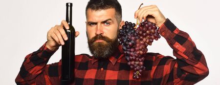 Winemaking and autumn. Man with beard holds grapes and wineの写真素材