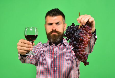 Man holds bunch of grapes and glass of wine