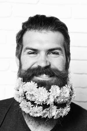 hipster with flowers in beard on white brick wall background