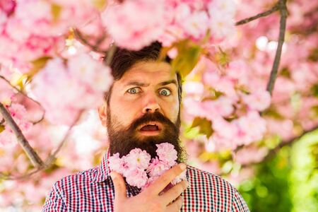 April events. Pink tender bloom. Weekend in garden concept. Walk in park. Natural beauty surrounds me. Handsome bearded man outdoors. Happy easter. Hipster in cherry bloom. Man in sakura blossomの写真素材