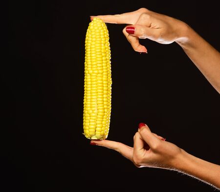 Corn cob in yellow color in girls fingers. Autumn maize harvest idea. Female hand holds corn...