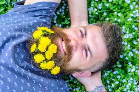 Breeziness concept. Man with beard on smiling face put hands behind head. Guy with dandelions in beard relaxing, top view. Bearded man with dandelion flowers in beard lay on meadow, grass backgroundの写真素材