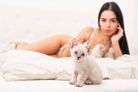 Sexy model play adorable kitten selective focus. Play with kitty. Cat and lady. Playful pet. Woman perfect body and cat. Gorgeous attractive girl relax with cute kittens. Playing with cat in bedの写真素材
