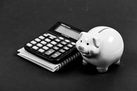 Building managing and preserving your wealth. Piggy bank money savings. Banking and accounting....