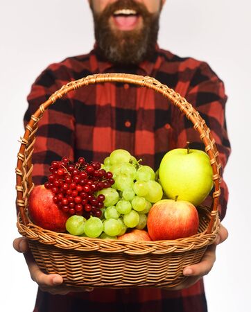 Farmer with smile presents apples, grapes and cranberries. Guy holds homegrown harvest. Farming and gardening concept. Man with beard holds basket with fruit isolated on white background, defocusedの写真素材