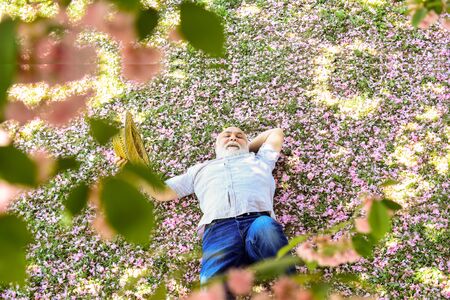 Enjoying spring day. daydreaming. Happy smiling senior man looking up lying. old man imagining good...