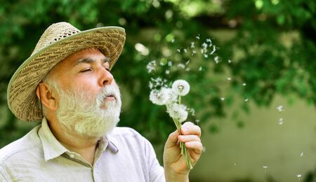Nice bouquet. concept of baldness and hair loss. happy and carefree retirement. grandpa farmer. senior man blowing dandelion seeds in park. elderly man in straw summer hat. Concept memory lossの写真素材