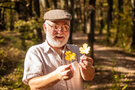 Elderly pensioner hold fall leaf. Old aged man enjoy looking at autumn foliage. Relaxation and recreation. Autumn nature. Happy fall season. Aged man or pensioner travel in forest. Old age is joy.の写真素材